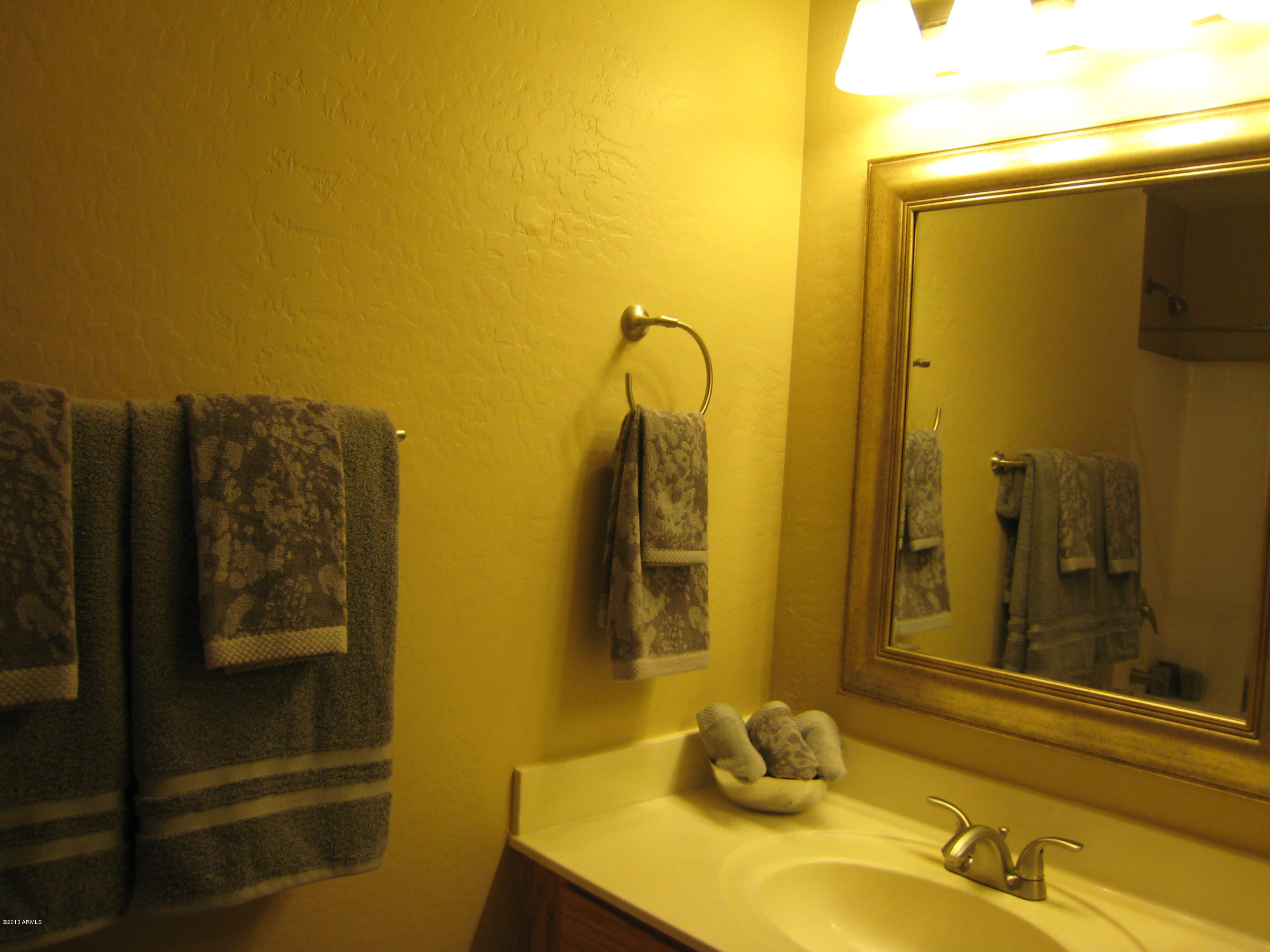 2597 West Tanner Ranch Road Queen Creek, AZ 85144 - Photo 30 of 40 Guest Bath 2