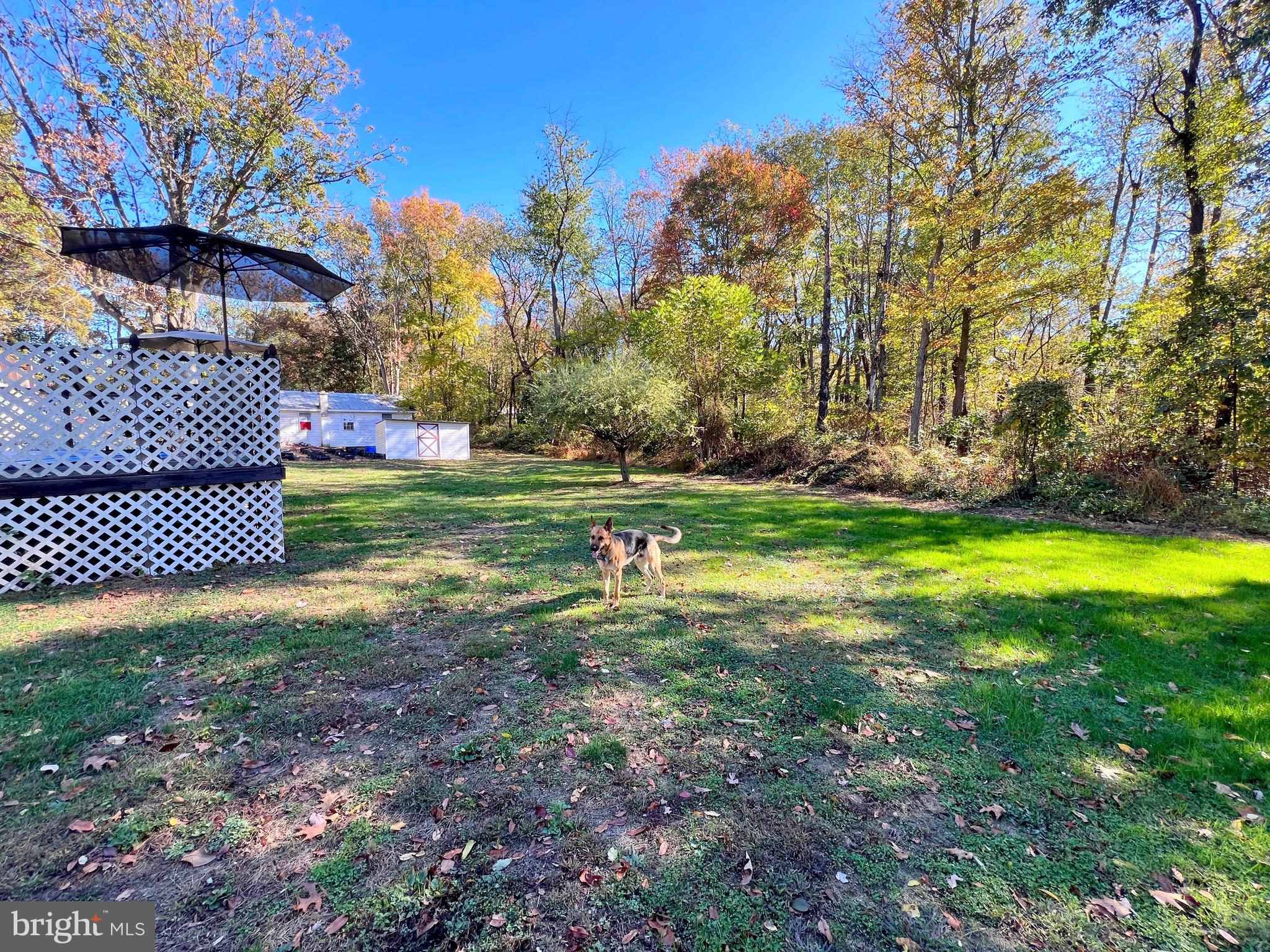 511 Pine Drive Valley View, PA 17983 - Photo 10 of 22 a view of a park with large trees