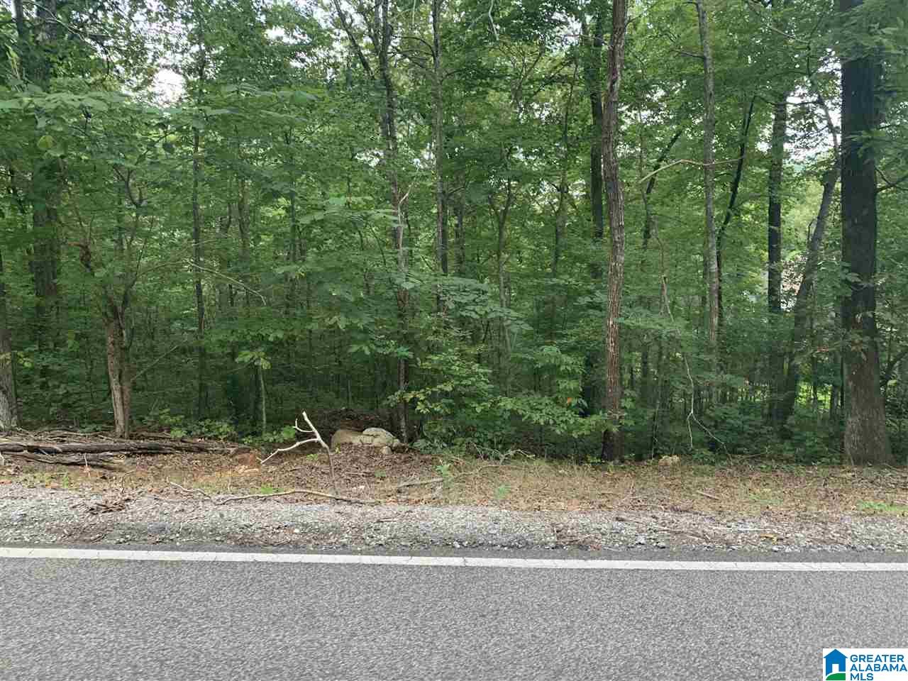 7199 Faucett Cut-Off Road Pinson, AL 35126 - Photo 3 of 3