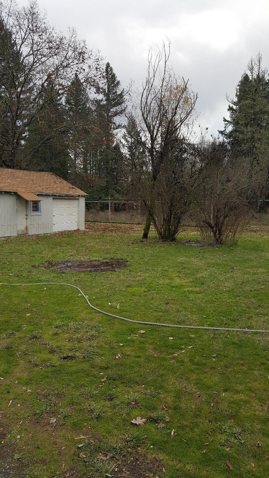 3421 Rockydale Road Cave Junction, OR 97523 - Photo 2 of 10 a view of a field with an trees