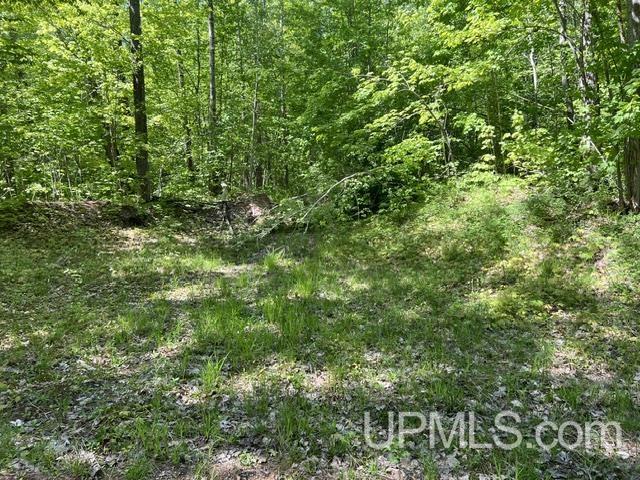 54335 Gay Road Lake Linden, MI 49945 - Photo 33 of 41