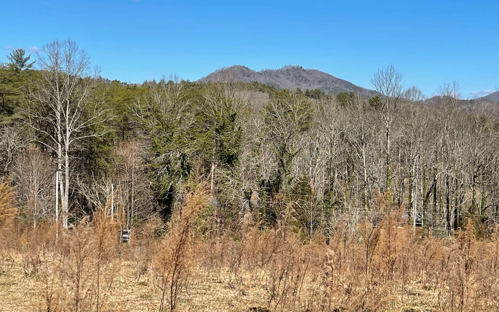 Mission Road Murphy, NC 28906 - Photo 3 of 4 Additional View