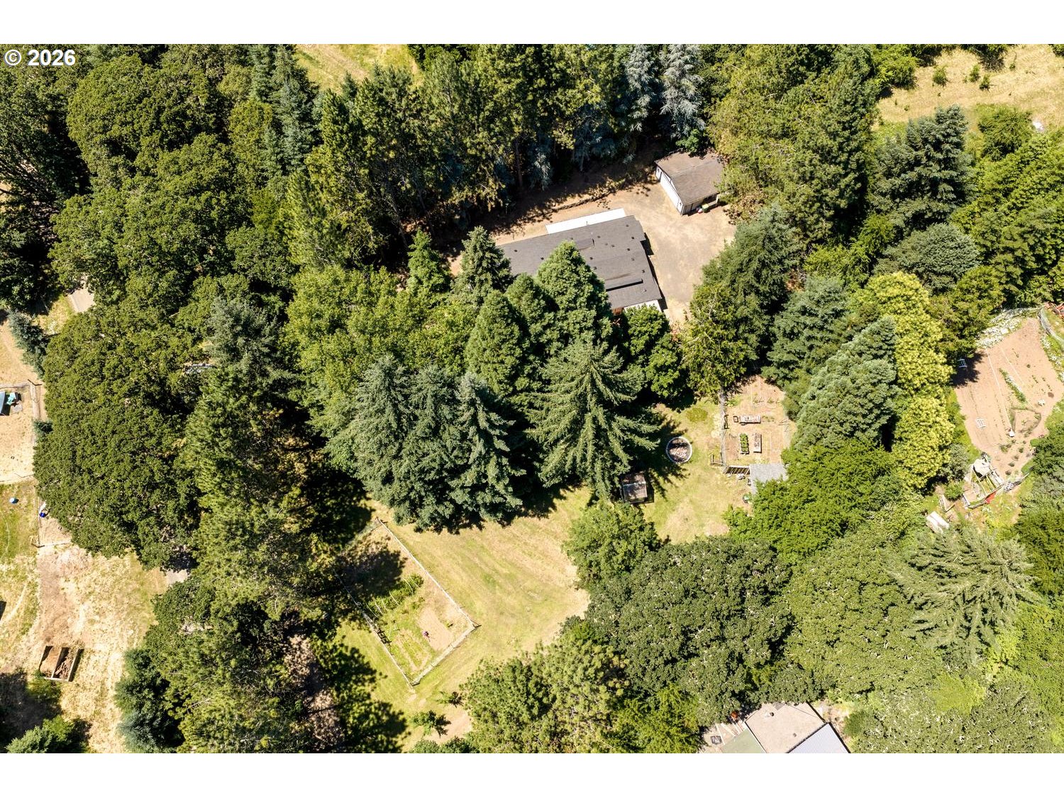 55279 Southwest Date Street Gaston, OR 97119 - Photo 42 of 45 a view of a tree in a yard