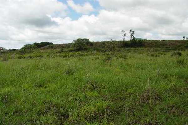3 Old Volcano Road Mountain View, HI 96771 - Photo 5 of 5 Gallery Image 5