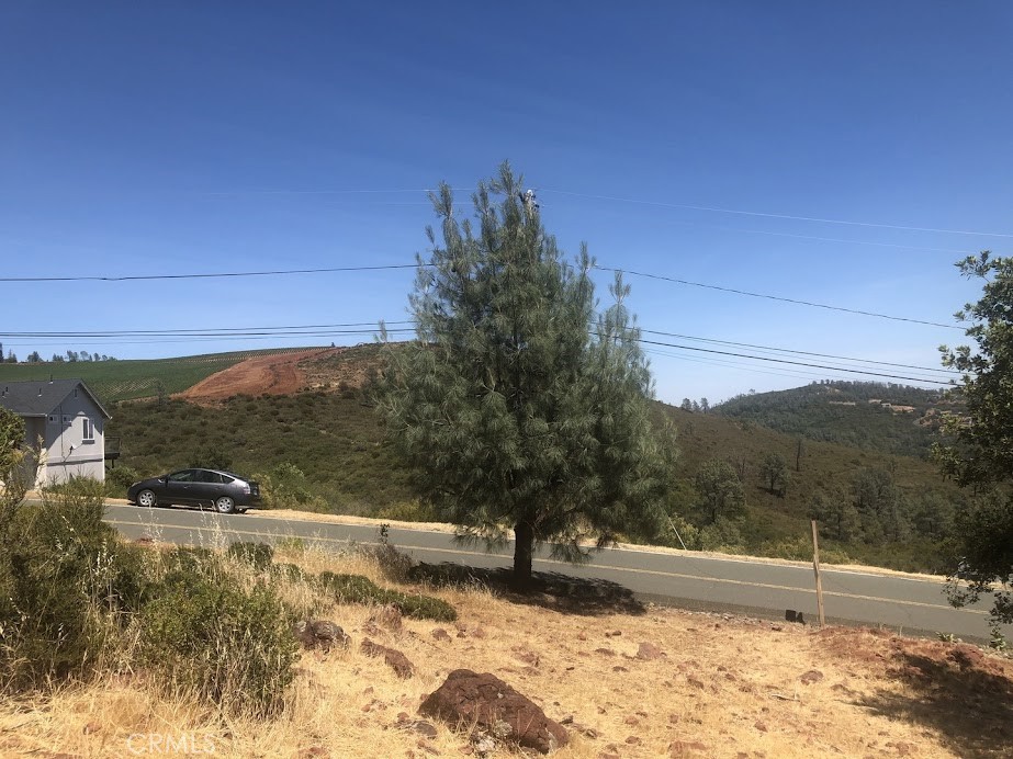15927 Eagle Rock Road Hidden Valley Lake, CA 95467 - Photo 29 of 65 a view of a yard with a tree