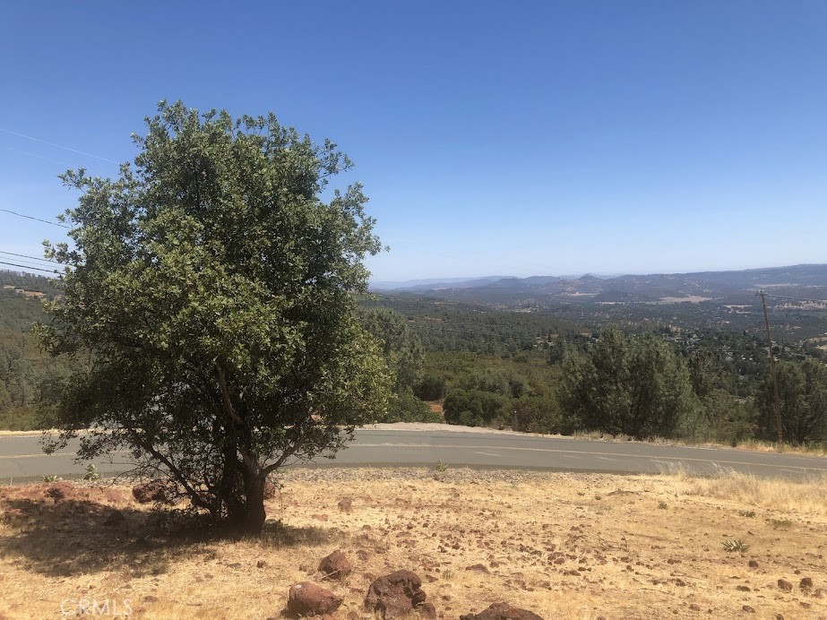 15927 Eagle Rock Road Hidden Valley Lake, CA 95467 - Photo 30 of 65 a view of a yard with a tree