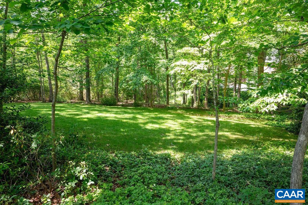 315 Terrell Road West Charlottesville, VA 22901 - Photo 40 of 52