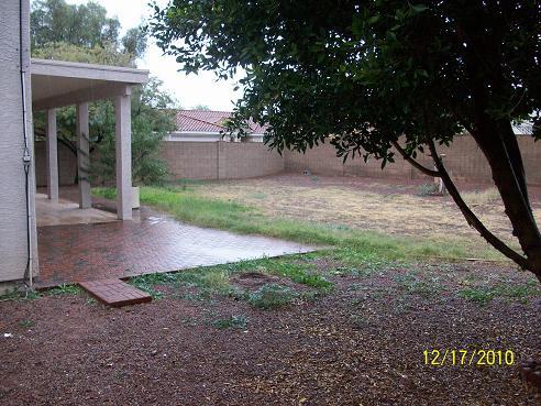 4030 West Bloomfield Road Phoenix, AZ 85029 - Photo 2 of 8 back