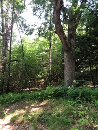 Lot 1 West Gill Road Gill, MA 01354 - Photo 31 of 31 Gallery Image 31
