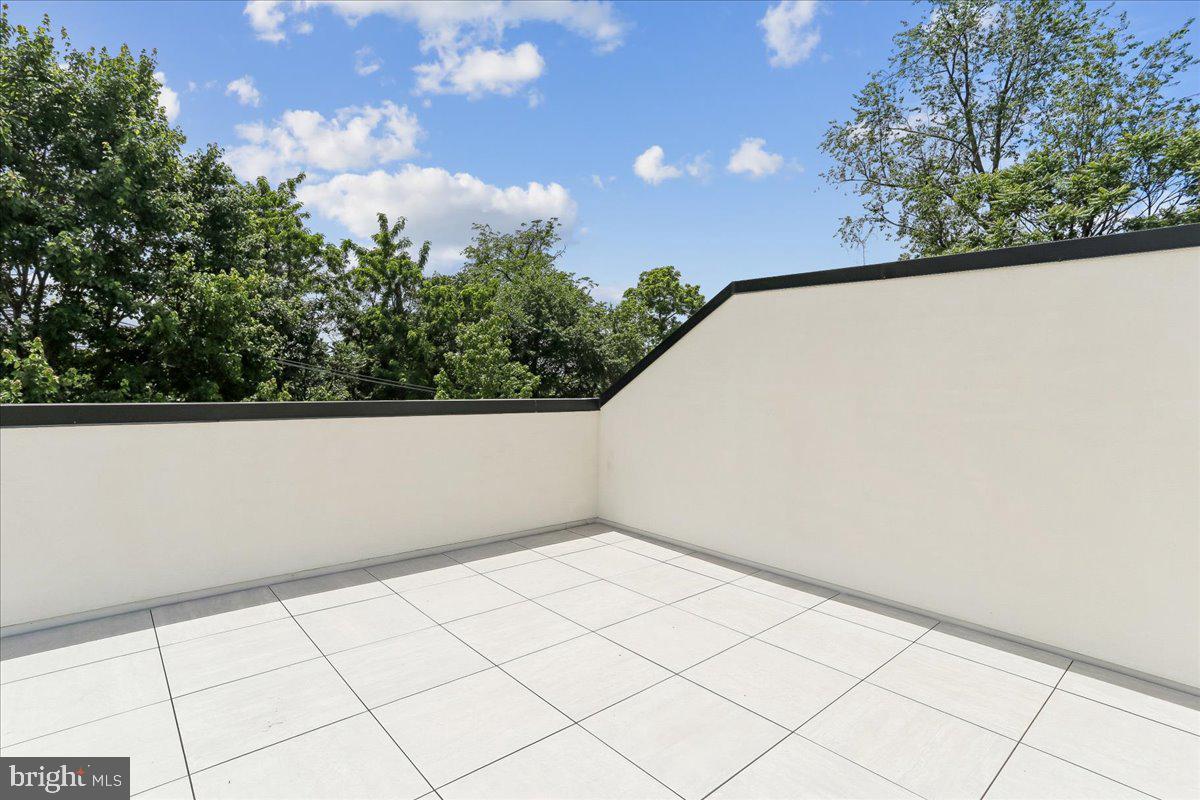 3929 Fulton Street Northwest, Unit A Washington, DC 20007 - Photo 7 of 79 Roof Top Balcony