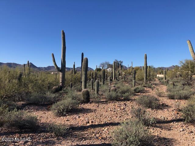 2741 North Shannon Road Tucson, AZ 85745 - Photo 2 of 7 Gallery Image 2