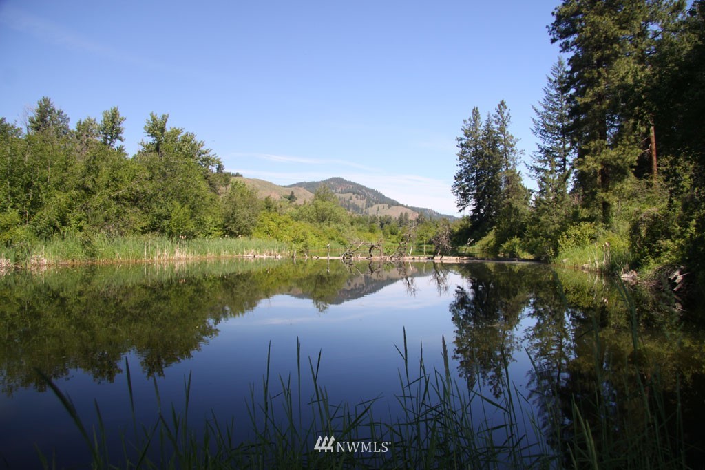 523 East Chewuch Road Winthrop, WA 98862 - Photo 14 of 25 Gallery Image 14