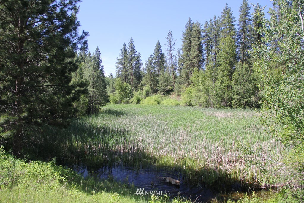 523 East Chewuch Road Winthrop, WA 98862 - Photo 17 of 25 Gallery Image 17