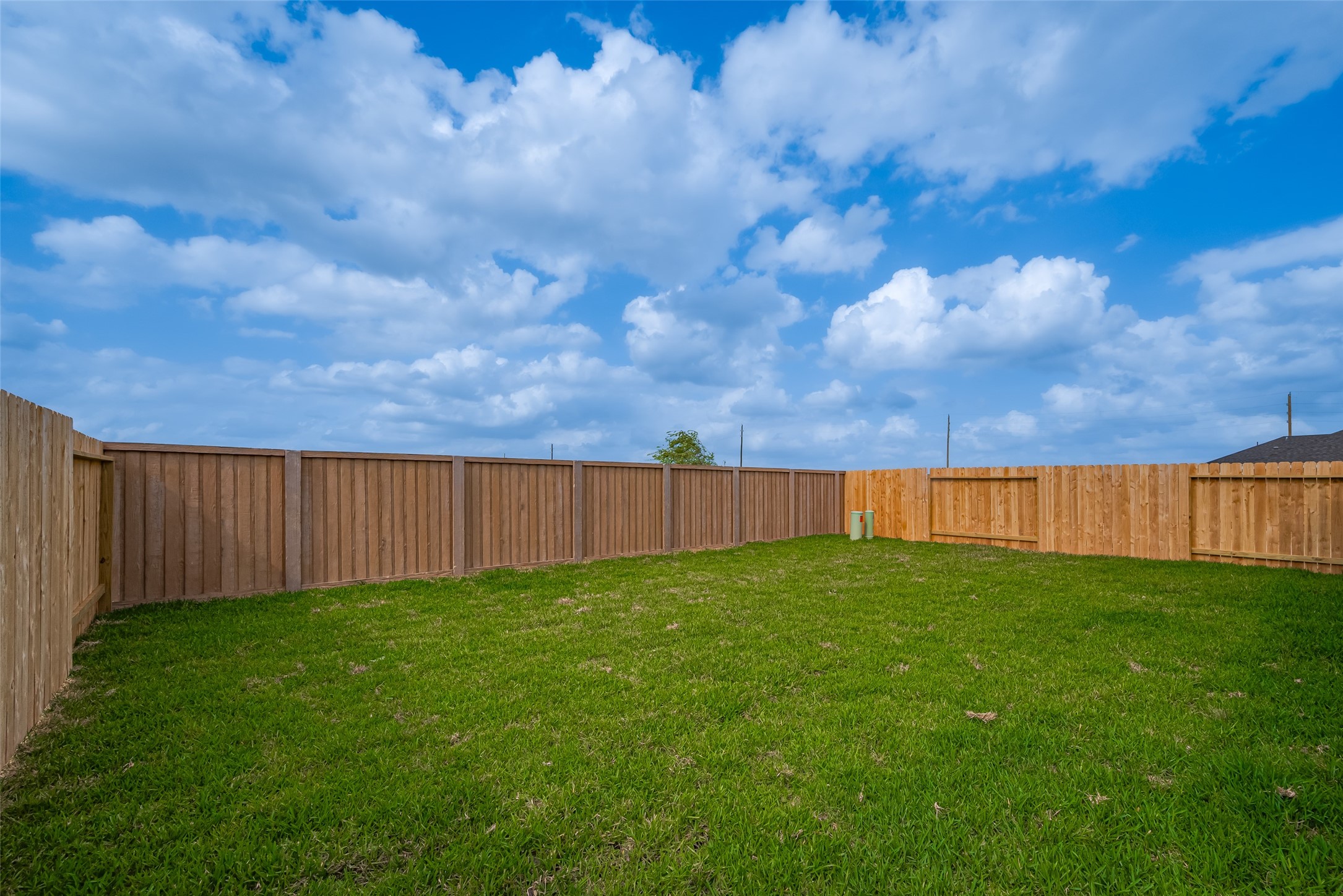 30910 Rockstock Road Fulshear, TX 77441 - Photo 30 of 33 The expansive backyard is fully fenced and blanketed in vibrant green grass—offering a perfect canvas for play, gardening, or future outdoor additions.