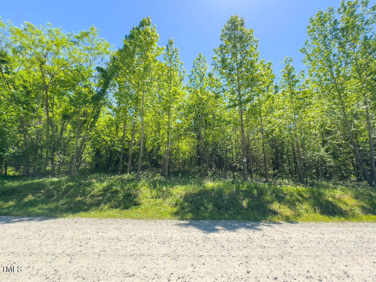 Lot-2-00 Wilson Road Providence, NC 27315 - Photo 14 of 39 Caswell Co. NC -Wilsons Ridge-Lot 2-14