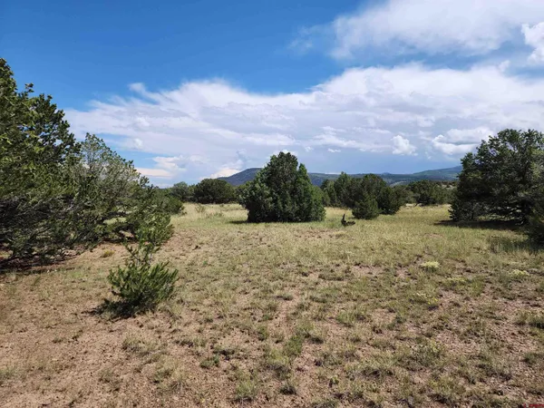 $35,000 | 0 Loveland Road, South Fork, CO 81154