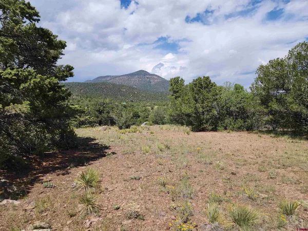 a view of outdoor space and trees all around