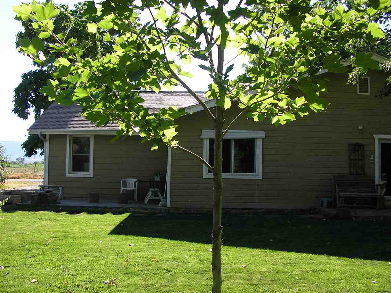 837 26 Road Grand Junction, CO 81505 - Photo 15 of 38 a backyard of a house with lots of green space