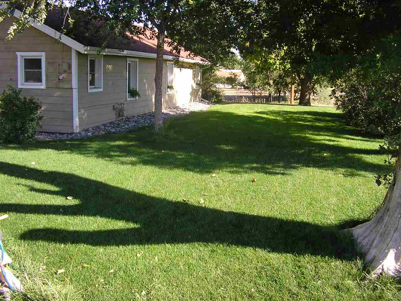 837 26 Road Grand Junction, CO 81505 - Photo 19 of 38 a view of a backyard with large trees