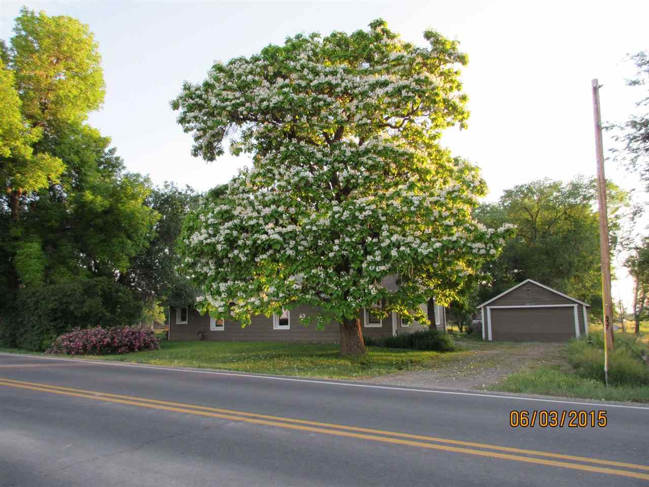 837 26 Road Grand Junction, CO 81505 - Photo 21 of 38 a view of a house with a yard and large tree
