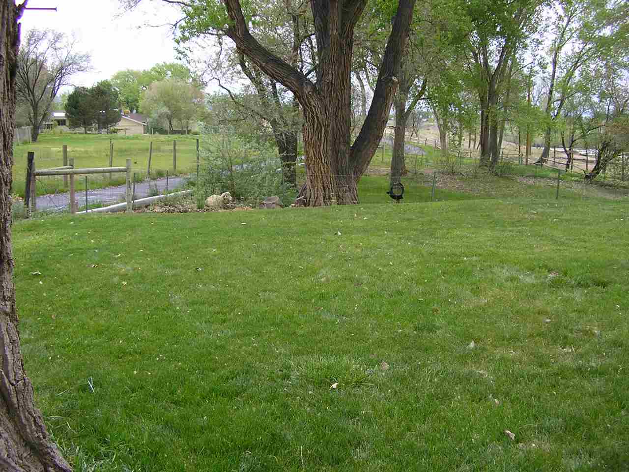 837 26 Road Grand Junction, CO 81505 - Photo 23 of 38 a view of a park with large trees