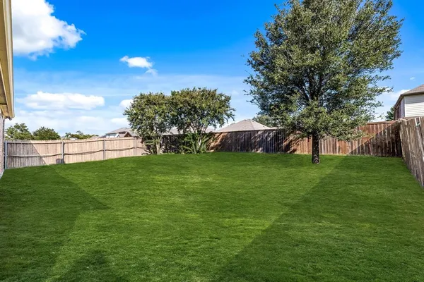 a view of a park with large trees