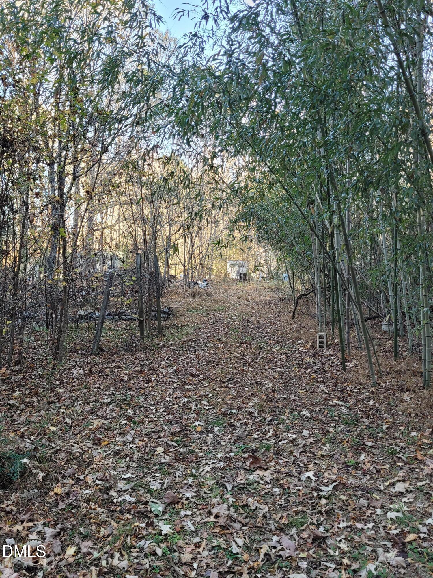 1715 Fire Dept Road Clayton, NC 27527 - Photo 1 of 9 a view of a yard with lots of trees
