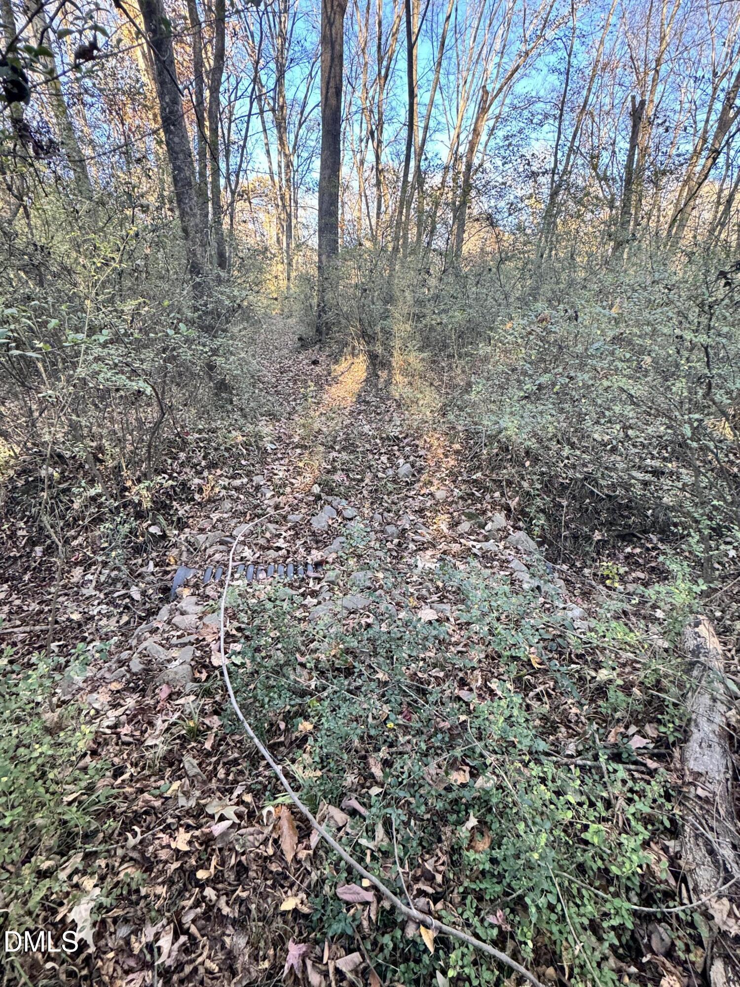 1715 Fire Dept Road Clayton, NC 27527 - Photo 3 of 9