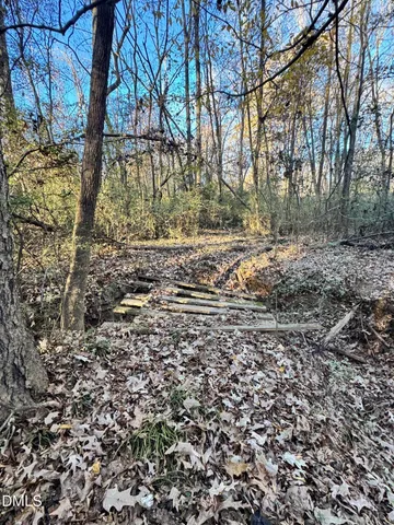 a view of a yard with trees
