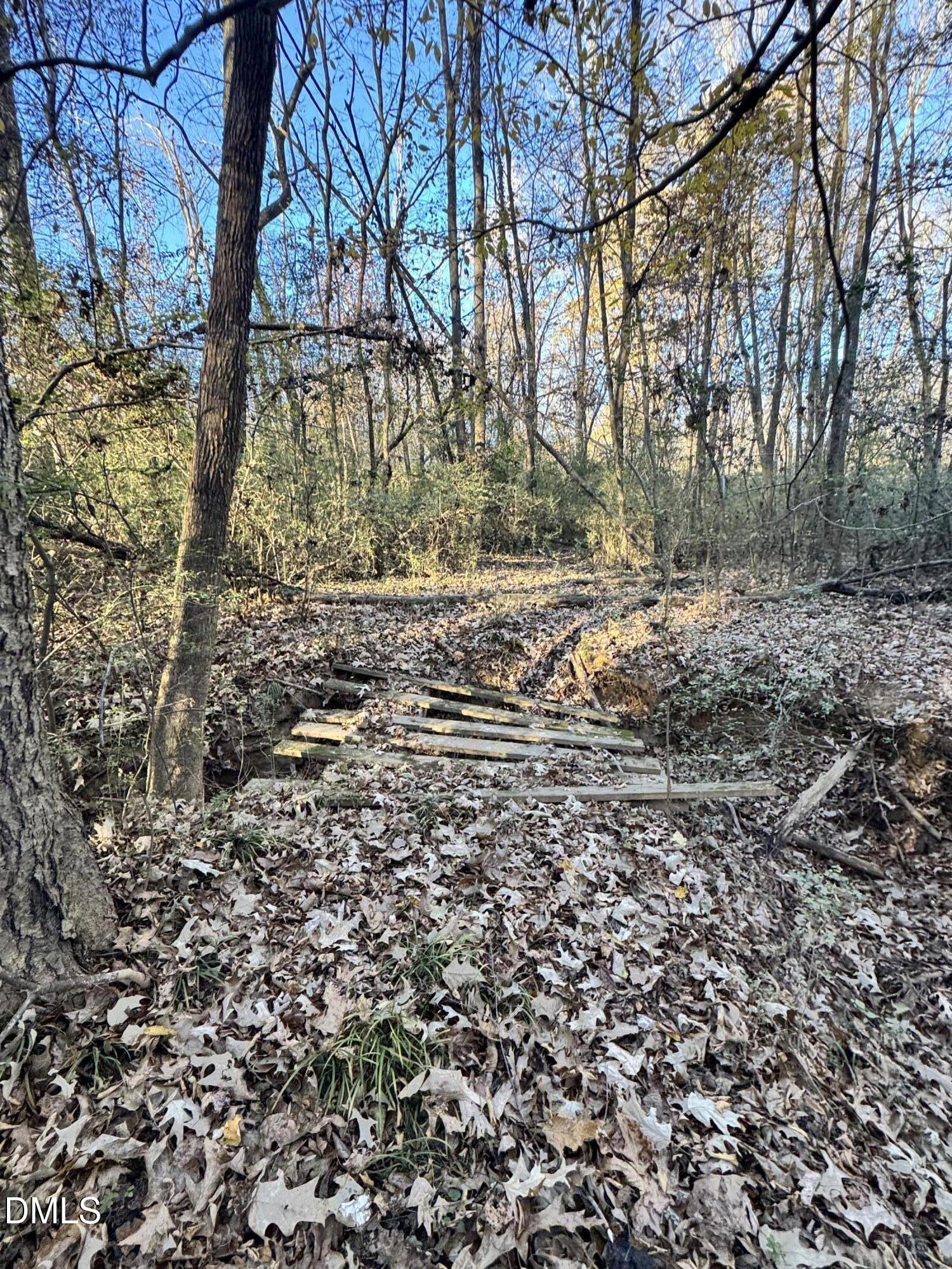 1715 Fire Dept Road Clayton, NC 27527 - Photo 4 of 9 a view of a yard with large trees