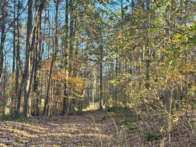 a bathroom with a tree
