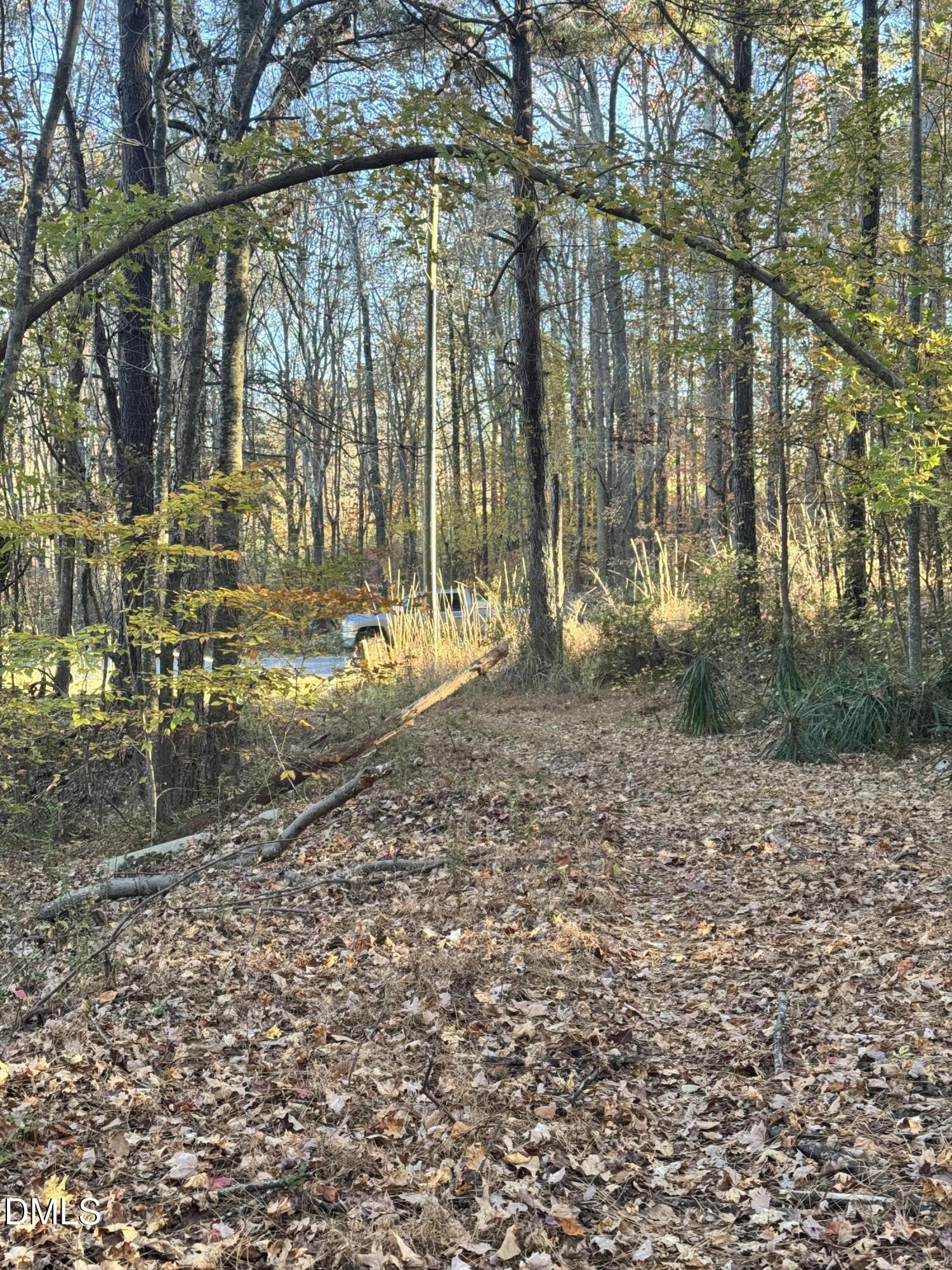 1715 Fire Dept Road Clayton, NC 27527 - Photo 7 of 9 a view of a yard with a tree