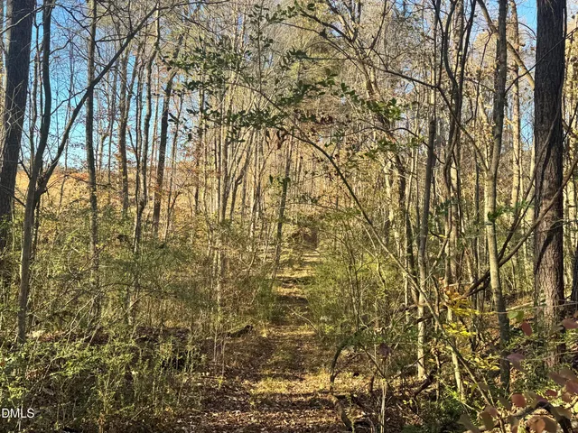 a view of lake from window