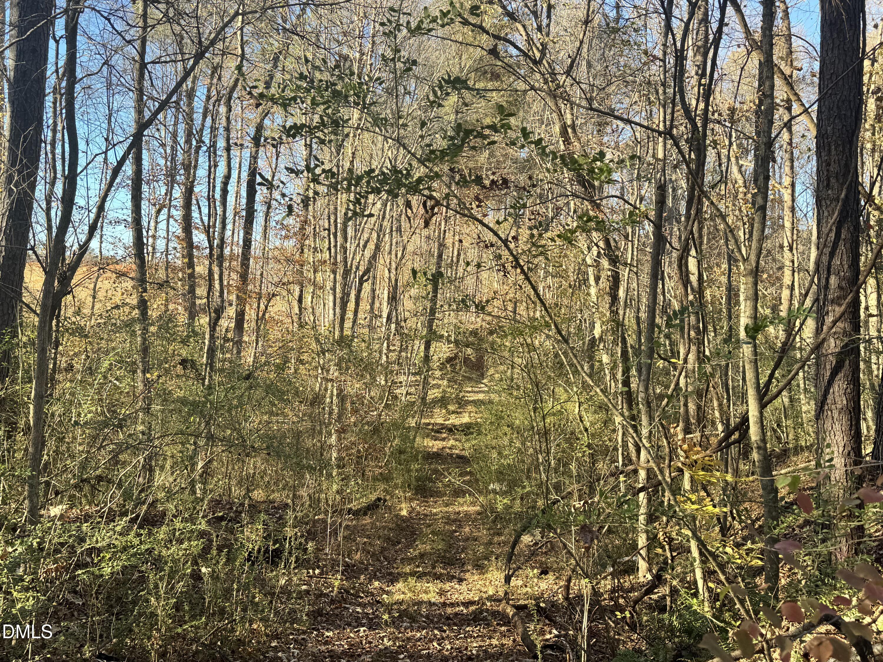 1715 Fire Dept Road Clayton, NC 27527 - Photo 8 of 9 a view of a yard