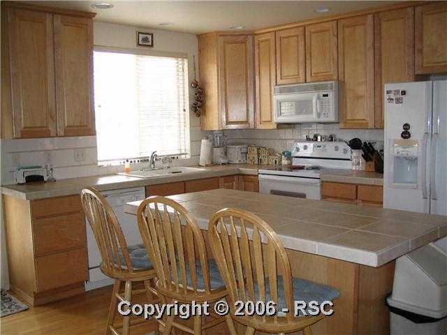 305 Talus Road Monument, CO 80132 - Photo 3 of 9