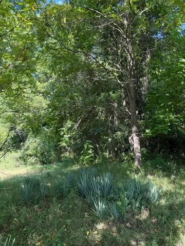 $8,000 | 178 Griswold Street, Hillsdale, MI 49242