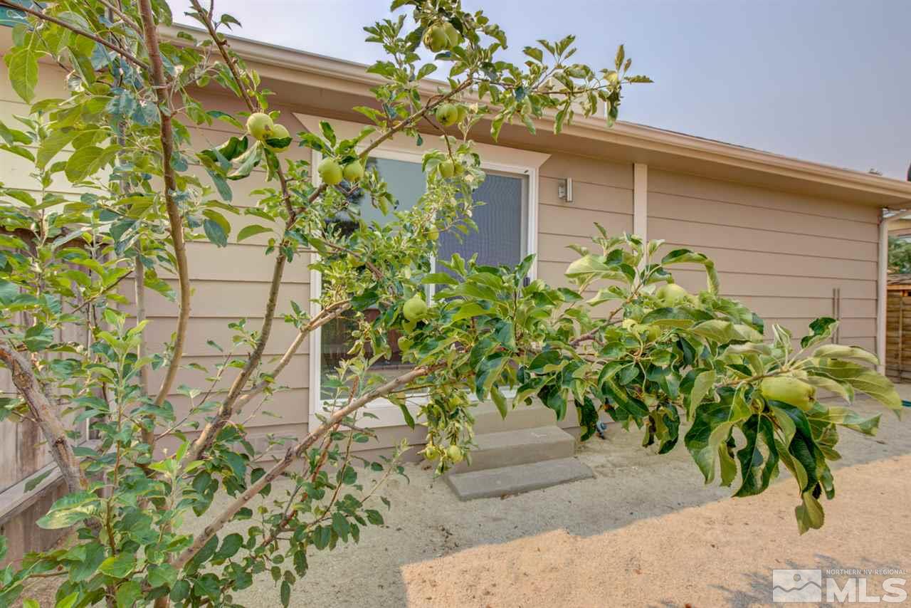 6755 Lotus Street Reno, NV 89506 - Photo 27 of 27 a plant with a plant in front of it