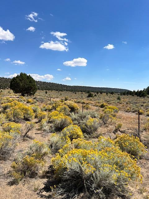 6520 Do Bend, OR 97701 - Photo 5 of 22 IMG_1815