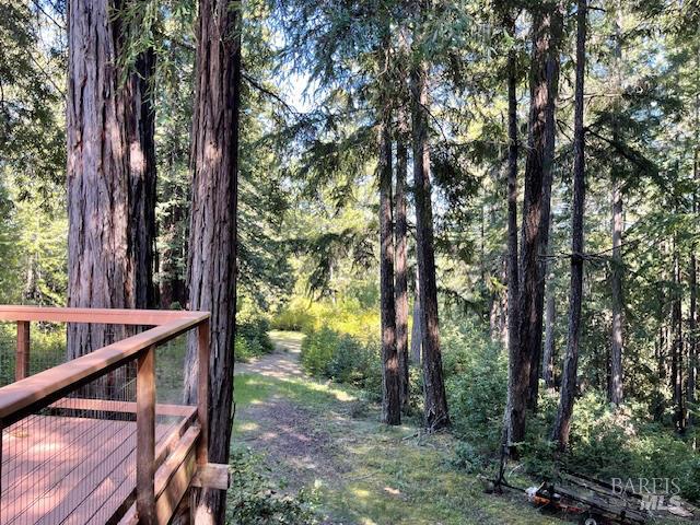 35905 Hauser Bridge Road, Unit J Cazadero, CA 95421 - Photo 9 of 34 Beautiful redwoods abound..