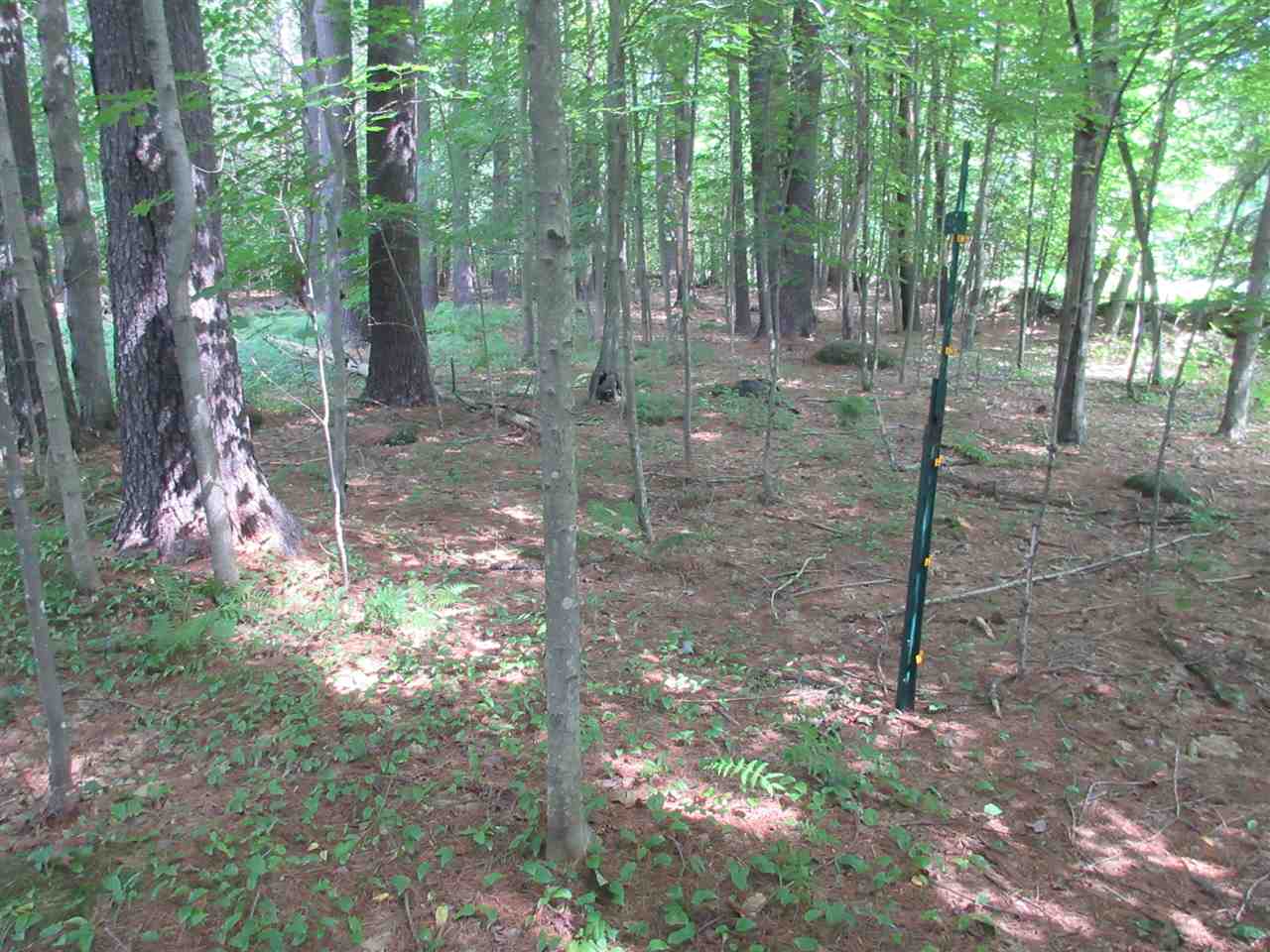 2 MacDowell Road Peterborough, NH 03458 - Photo 30 of 37 Gallery Image 30