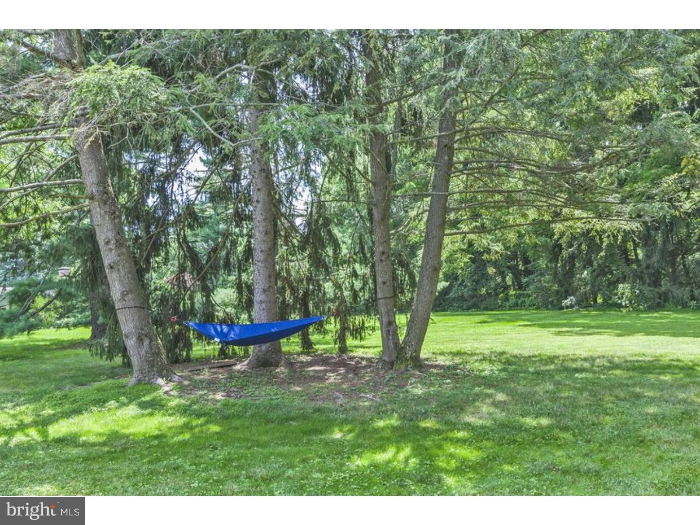961 Mercer Road Princeton, NJ 08540 - Photo 5 of 25