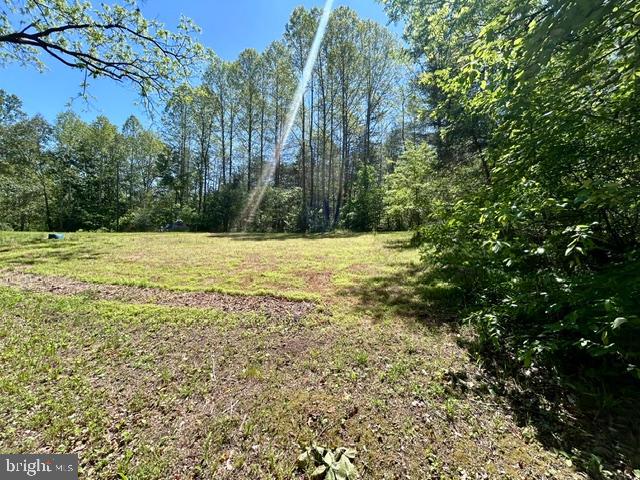 23060 Lanewood Road Orange, VA 22960 - Photo 3 of 6