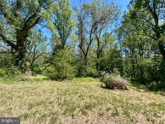 23060 Lanewood Road Orange, VA 22960 - Photo 4 of 6