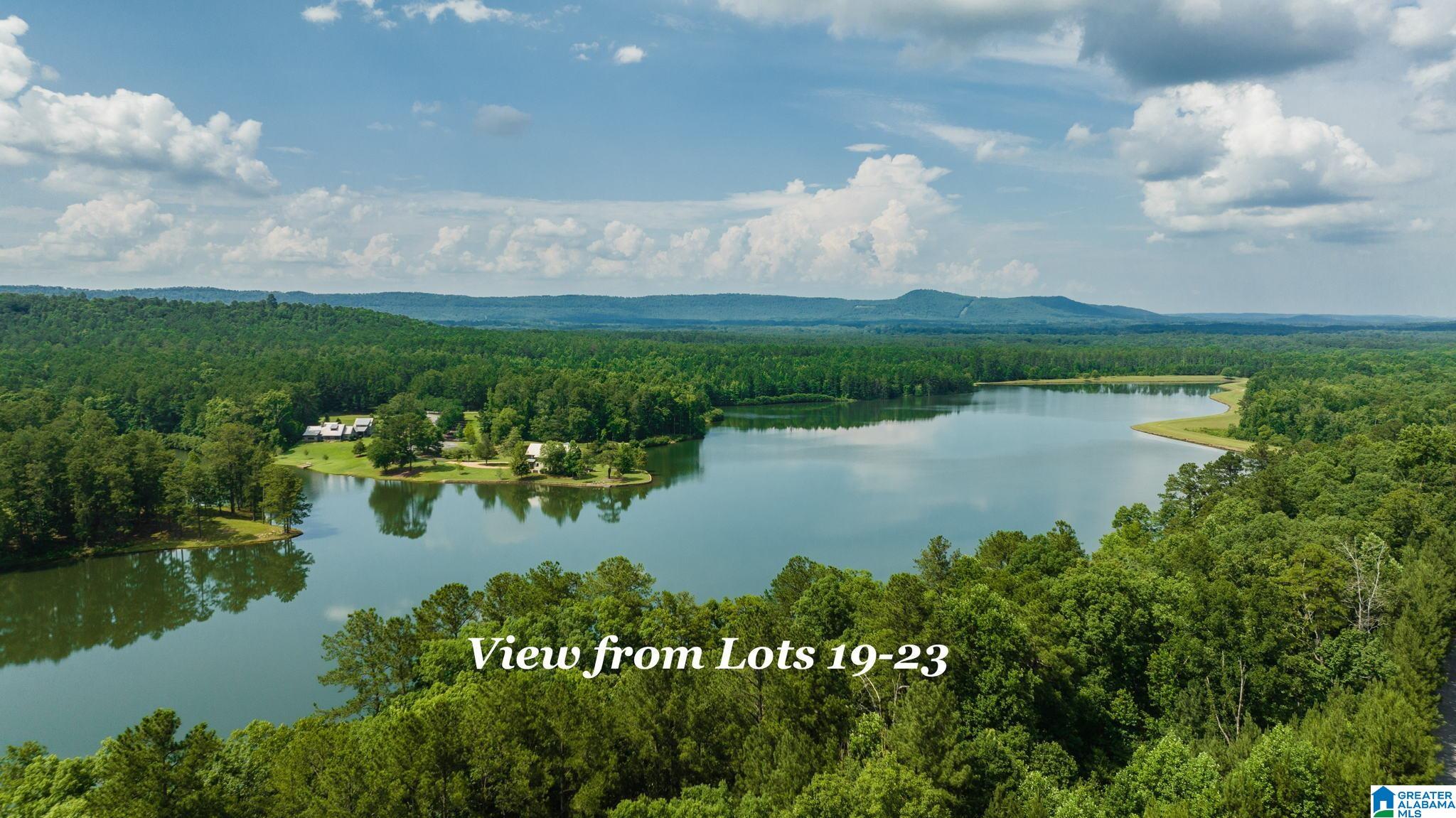 Lot 23 Saunders Bridge Road, Unit 23 Sterrett, AL 35147 - Photo 6 of 30