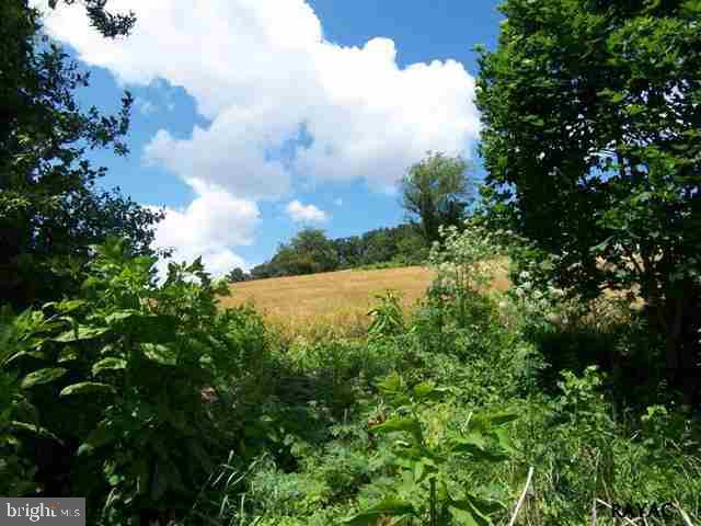 95 Barshinger Road Red Lion, PA 17356 - Photo 9 of 36