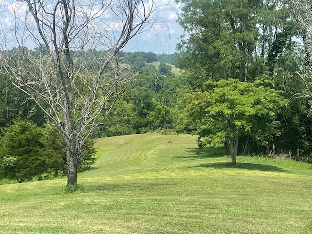 1512 Turner Ridge Road Falmouth, KY 41040 - Photo 13 of 42 Gallery Image 13