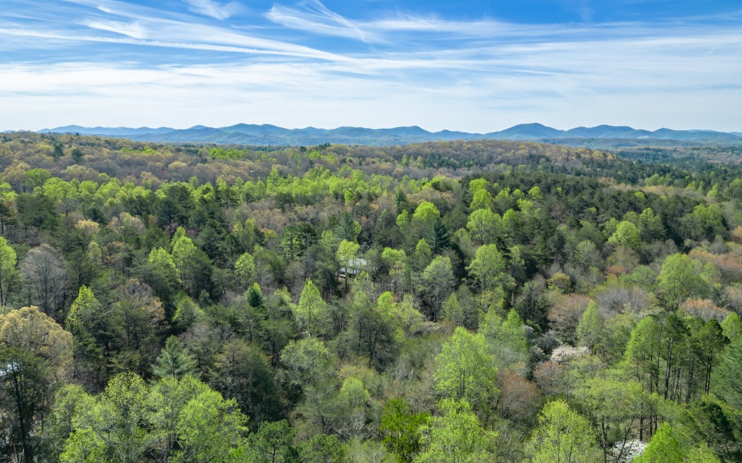 25 Laurel Ridge Morganton, GA 30560 - Photo 70 of 75 Additional View