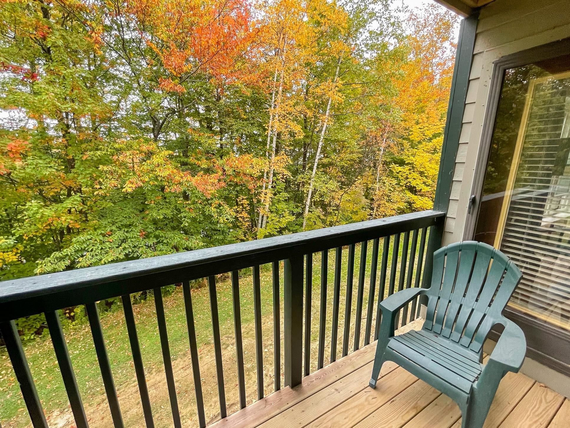 46 Fowler Road, Unit O202 Ludlow, VT 05149 - Photo 18 of 20 Gallery Image 18