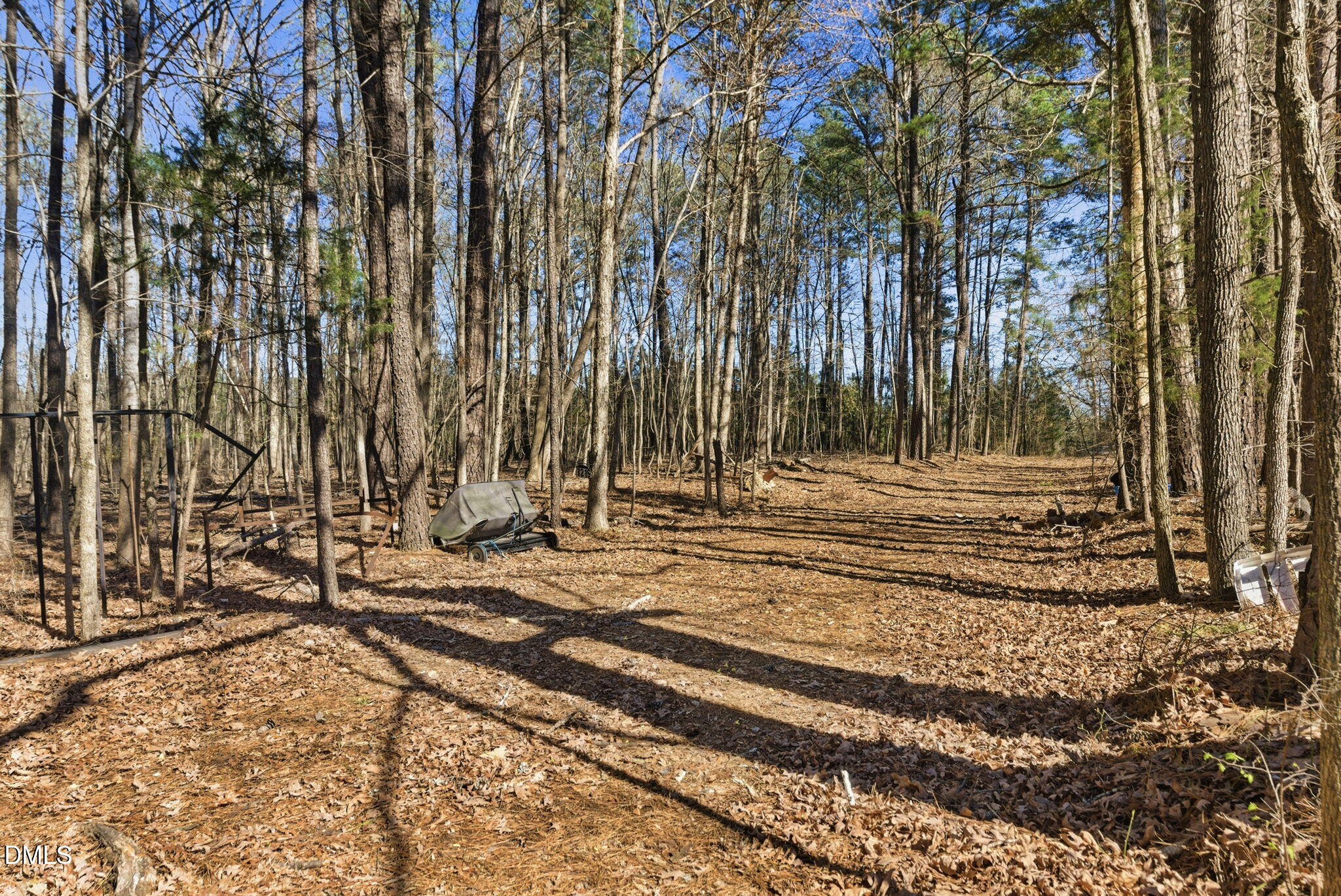 7400 Green Hope School Road Cary, NC 27519 - Photo 41 of 48 a view of a backyard with large trees
