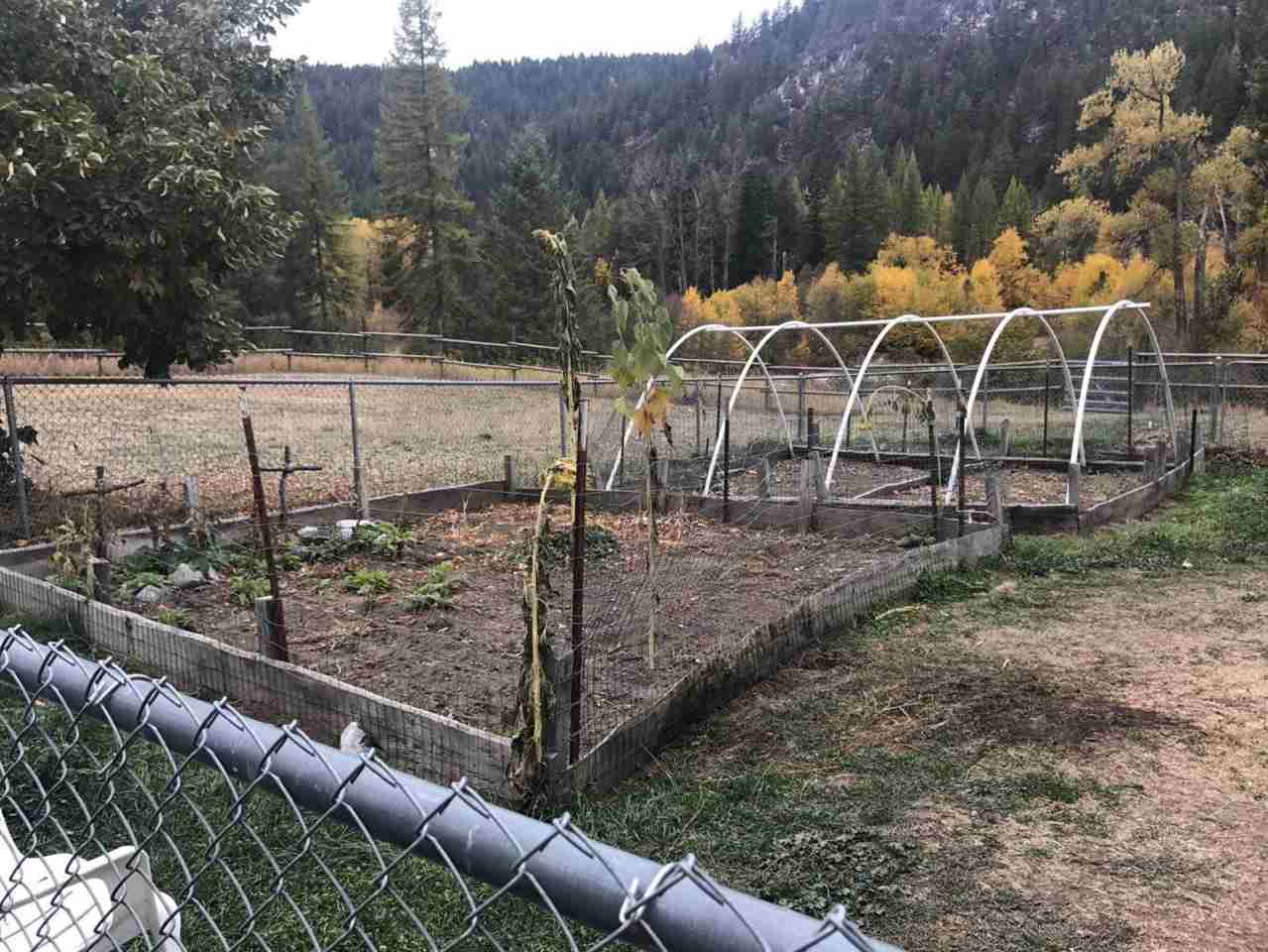 3041 Aladdin Road Colville, WA 99114 - Photo 14 of 20 Gallery Image 14